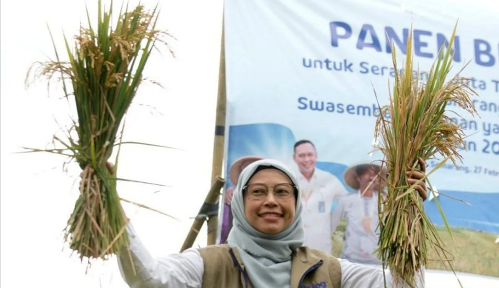Penyerapan Gabah Bulog Jateng Tembus 406 Ribu Ton, Lampaui Target 2026